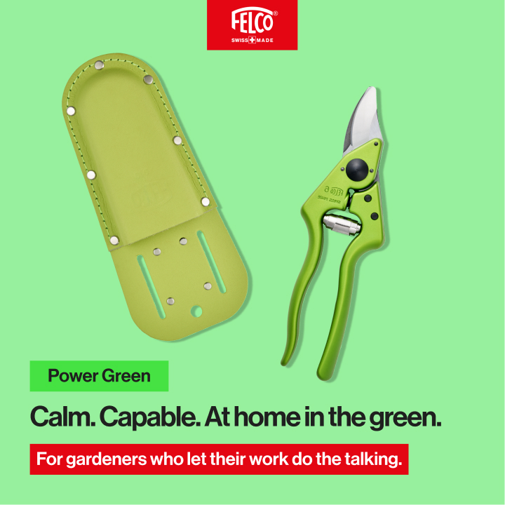 FELCO Color Edition green personality card