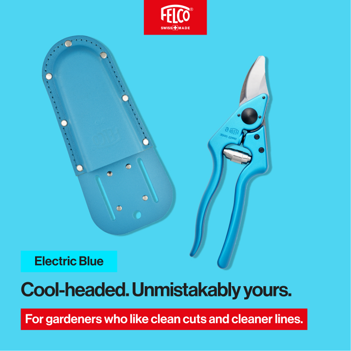 FELCO Color Edition blue personality card