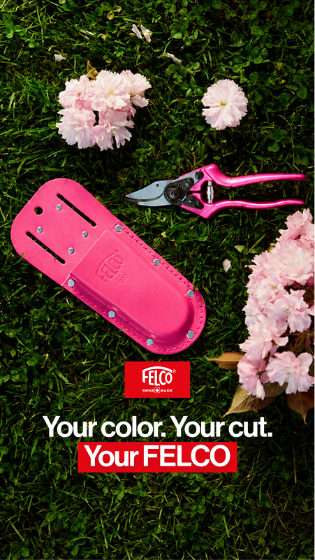 Your color your cut your FELCO pink creative