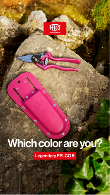 Which color are you green campaign creative
