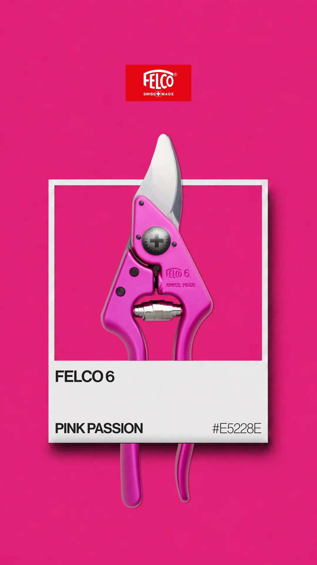 FELCO 6 Pink Passion Color Edition card