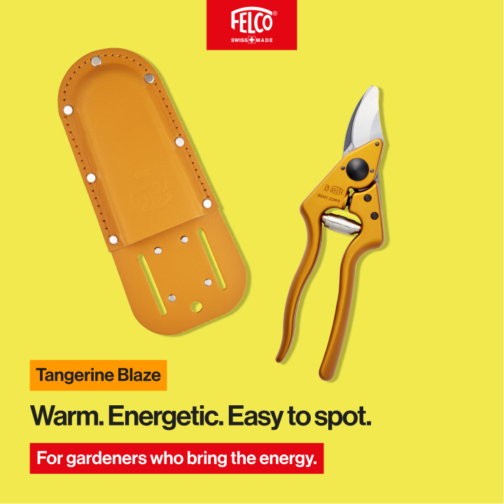 FELCO Color Edition orange personality card
