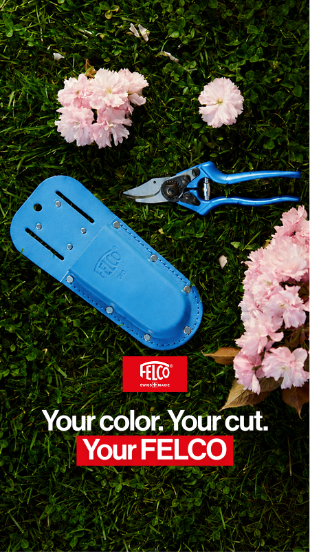 Your color your cut your FELCO green creative