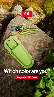 Which color are you pink campaign creative