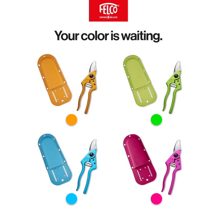 FELCO Color Edition waiting personality card