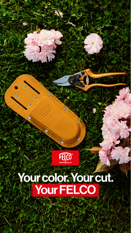 Your color your cut your FELCO orange creative