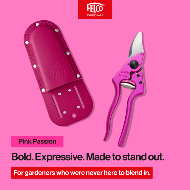 FELCO Color Edition pink personality card