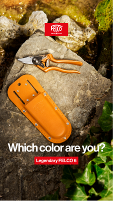 Which color are you orange campaign creative