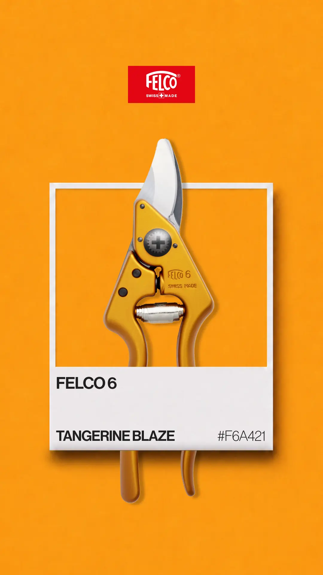 FELCO 6 Tangerine Blaze Color Edition card