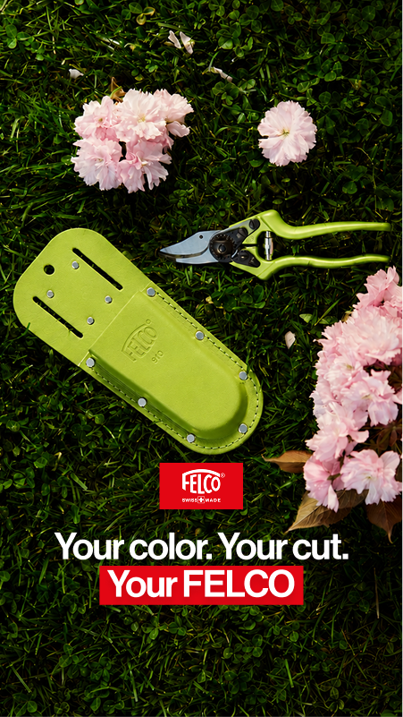 Your color your cut your FELCO blue creative
