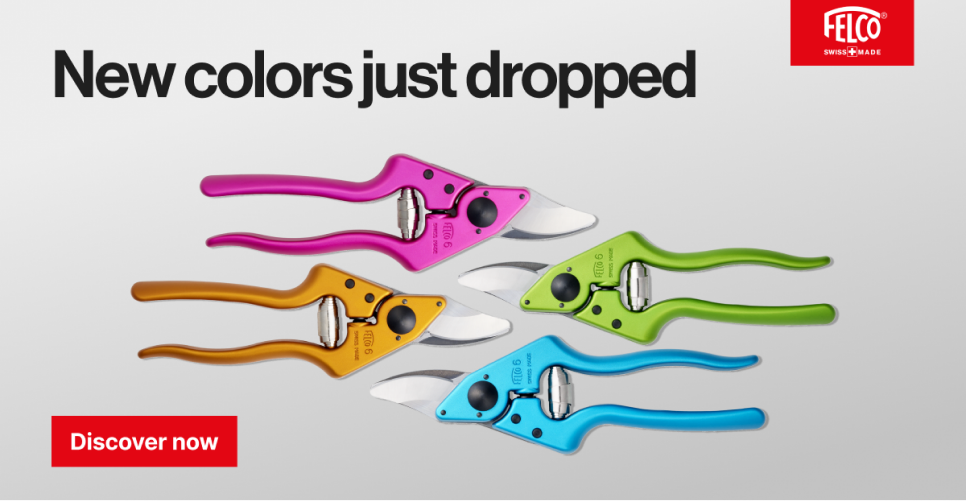 New colors just dropped campaign banner