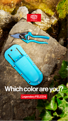 Which color are you blue campaign creative
