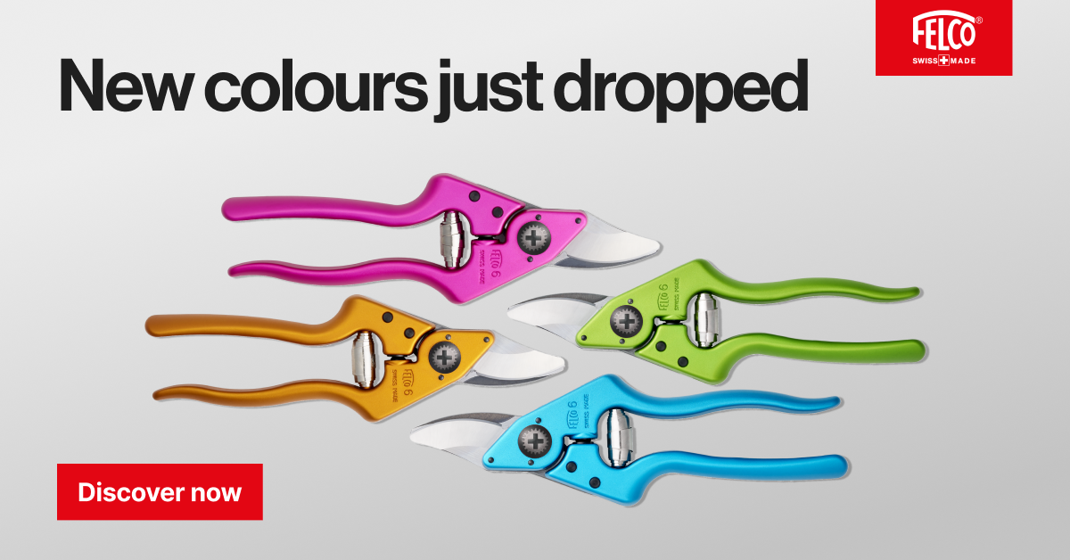 New colors just dropped landscape launch banner